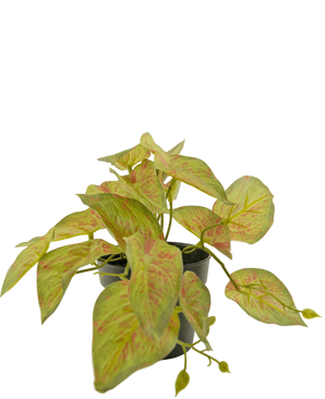Artificial Plant Scindapsus 18 cm