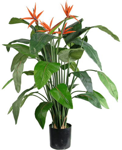 De Kunstplant Strelitzia 120 cm is een kunstparadijsvogel in pot met grote groene bladeren en verschillende oranje, kraanvogelachtige bloemen die boven het gebladerte uitsteken.