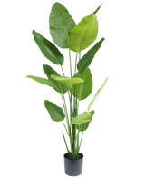 Artificial Plant Strelitzia 180 cm Real Touch - Easyplants Artificial Plants & Flowers