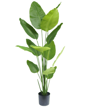 Artificial Plant Strelitzia 180 cm Real Touch