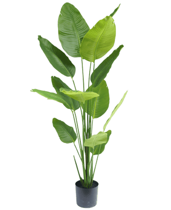 Artificial Plant Strelitzia 180 cm Real Touch - Easyplants Artificial Plants & Flowers