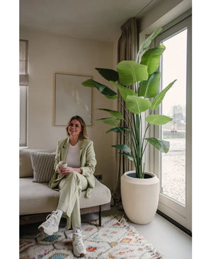 Artificial Plant Strelitzia 180 cm Real Touch