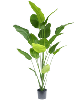 Artificial Plant Strelitzia 210 cm Real Touch - Easyplants Artificial Plants & Flowers