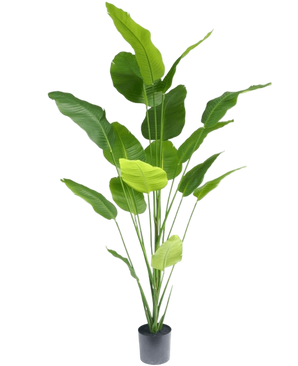 Artificial Plant Strelitzia 210 cm Real Touch