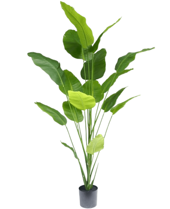 Artificial Plant Strelitzia 210 cm Real Touch - Easyplants Artificial Plants & Flowers