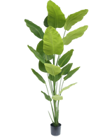 Artificial Plant Strelitzia 240 cm Real Touch - Easyplants Artificial Plants & Flowers