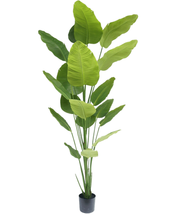 Artificial Plant Strelitzia 240 cm Real Touch - Easyplants Artificial Plants & Flowers