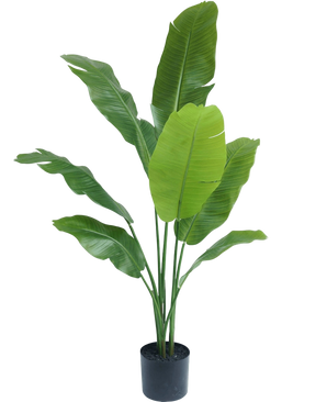 Artificial plant Strelitzia Nicolai Deluxe 120 cm