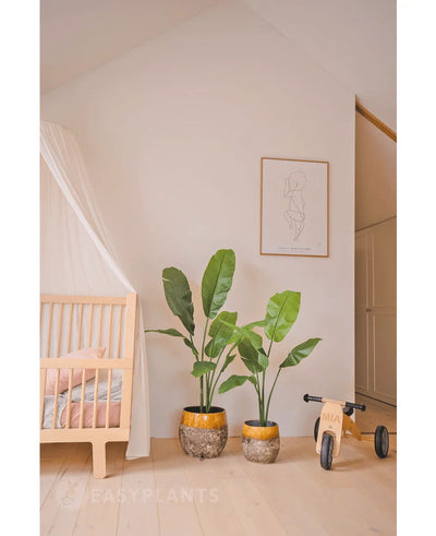 Een gezellige kinderkamer met een houten wieg, een luxe Kunstplant Strelitzia Nicolai 120 cm, een ingelijste minimalistische lijntekening aan de muur en een kleine houten loopfiets met het label MIA op een lichthouten vloer.