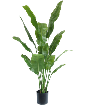 Artificial plant Strelitzia Nicolai Deluxe 165 cm