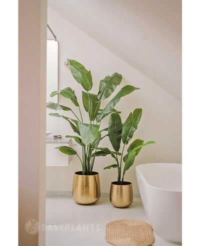 Twee Kunstplant Strelitzia Nicolai Deluxe 180 cm in glanzend gouden potten staan bij een wit bad in een moderne, minimalistische badkamer met een klein rond geweven vloerkleed op de vloer.