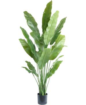 Artificial plant Strelitzia Nicolai Deluxe 195 cm