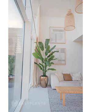 Artificial Plant Strelitzia Nicolai Deluxe 215 cm