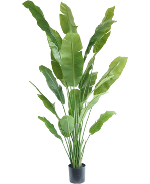 Artificial Plant Strelitzia Nicolai Deluxe 215 cm