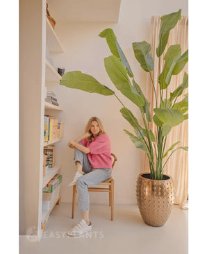 Artificial plant Strelitzia Nicolai Deluxe 235 cm