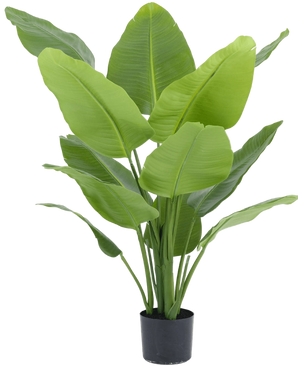 Artificial plant Strelitzia Real Touch Deluxe 120 cm