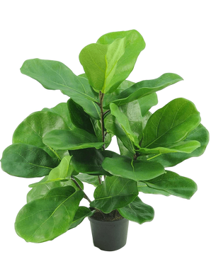 Artificial plant tobacco plant Fiddle Leaf 45 cm