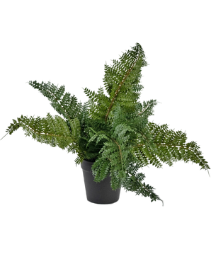 Artificial plant sailing 33 cm
