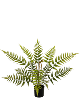 Artificial plant sailing 68 cm - Easyplants Artificial Plants & Flowers