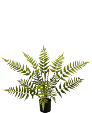 Artificial plant sailing 68 cm