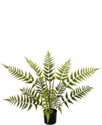 Artificial plant sailing 68 cm - Easyplants Artificial Plants & Flowers