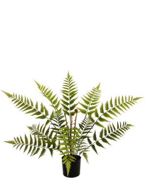 Kunstplant Varen 68 cm heeft weelderige, lange, vederachtige bladeren die zich naar buiten spreiden en op een groene varen lijken, en wordt weergegeven tegen een witte achtergrond.