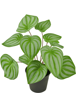 Artificial Plant Watermelon 29 cm