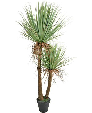 Artificial plant Yucca Deluxe 153 cm