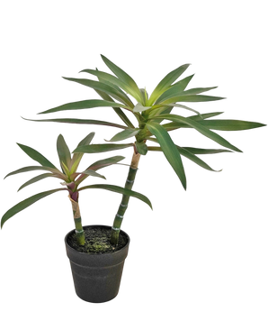 Artificial plant Yucca Gigantea 53 cm