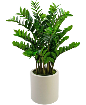 Artificial plant Zamioculcas ready in beige pot 120 cm