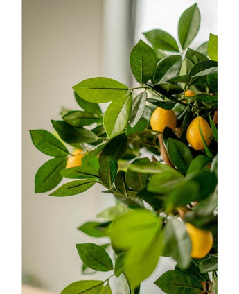 A close-up of the Artificial Lemon Tree 75 cm, with lush green leaves and vibrant yellow lemons, placed indoors in elegant decorative pots with soft natural light in the background.