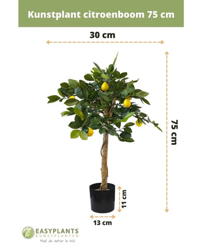 Artificial lemon tree 75 cm with green leaves and fake lemons in a black decorative pot (13x11 cm). Height: 75 cm, width: 30 cm. With Green Easyplants logo at the bottom.