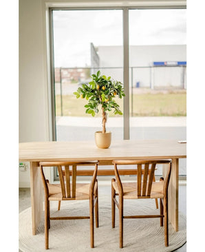A light wooden table with two matching chairs stands on a round rug near a large window. An Artificial Lemon Tree 75 cm adorns the center of the table and adds charm to the light, minimalist scene.
