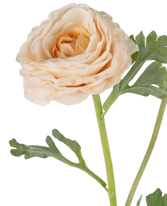 A close-up of the Artificial Ranunculus Real Touch Crème 60cm shows the pale peach layered petals and green leaves on a light green stem, against a white background.