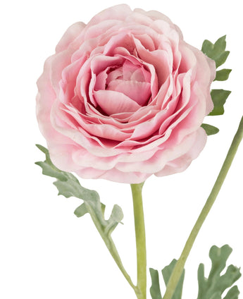 Een close-up van de Kunstranonkel Real Touch Roze 60cm toont de gelaagde roze bloemblaadjes en groene bladeren tegen een witte achtergrond.