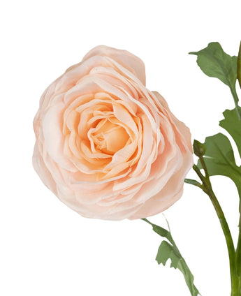 Een close-up van de Kunstroos "Emine" Real Touch Perzik 62cm, met perzikkleurige, gelaagde bloemblaadjes en groene bladeren tegen een witte achtergrond.
