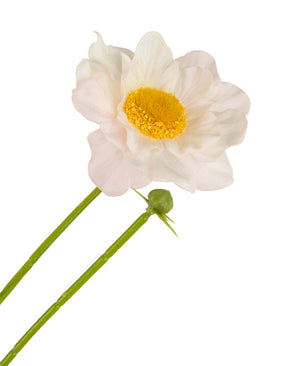 Een Kunstrozenkraag Real Touch Wit/roze 50cm heeft een enkele lichtroze en witte bloem met een geel hart, groene steel en een gesloten knop, allemaal geïsoleerd op een witte achtergrond.