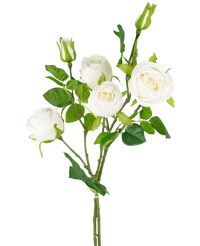 Arthrozent Branch Double Real Touch White 80cm - Easyplants Artificial Plants & Flowers