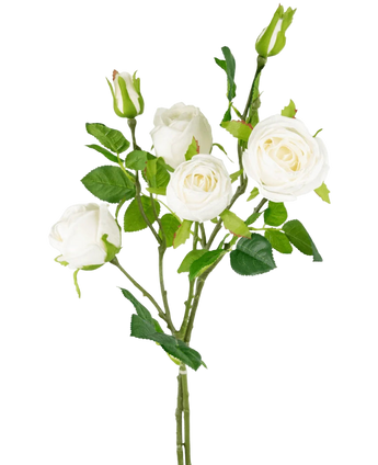 Arthrozent Branch Double Real Touch White 80cm - Easyplants Artificial Plants & Flowers