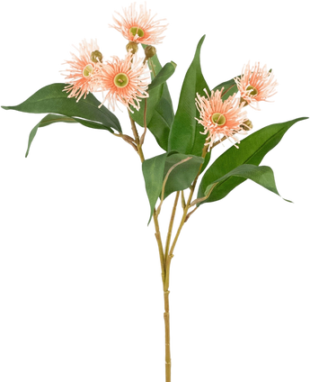 Artificial Branch Flowering Eucalyptus 62 cm Old Pink - Easyplants Artificial Plants & Flowers