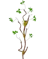 Artificial Branch Enkianthus 100 cm Green - Easyplants Artificial Plants & Flowers