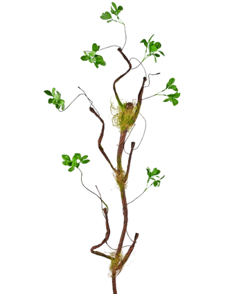 Artificial Branch Enkianthus 100 cm Green - Easyplants Artificial Plants & Flowers