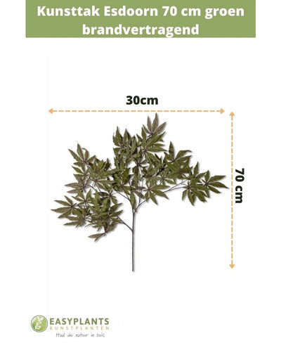 Kunsttak Esdoorn 70 cm groen brandvertragend, 30 cm breed, tegen een witte achtergrond met maataanduiding. Tekst bovenaan, Easyplants Kunstplanten logo onderaan. Ideaal voor een herfstaccent in je interieur.