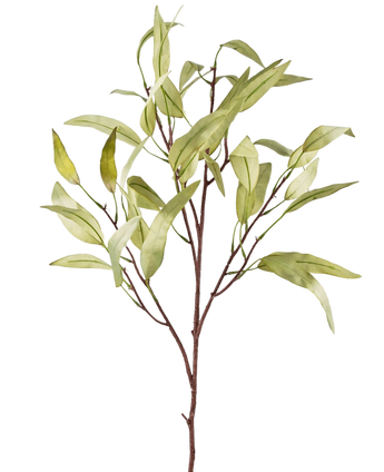 Artificial branch Eucalyptus niphophila 108 cm Green - Easyplants Artificial Plants & Flowers