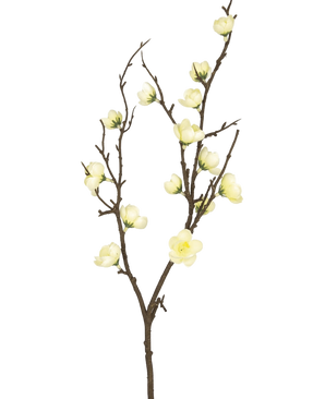 Artificial Branch Prunus 78 cm White - Easyplants Artificial Plants & Flowers