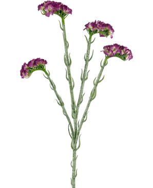 Artificial Branch Statice 64 cm Dark Purple - Easyplants Artificial Plants & Flowers