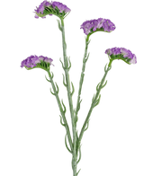 Artificial Branch Statice 64 cm Purple - Easyplants Artificial Plants & Flowers