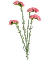 Artificial Branch Statice 64 cm Pink - Easyplants Artificial Plants & Flowers