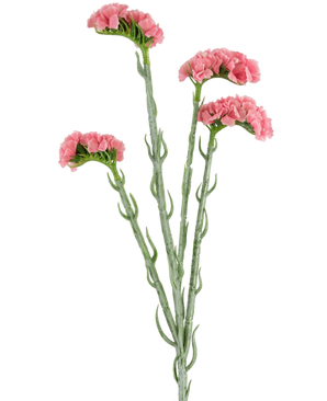 Artificial Branch Statice 64 cm Pink - Easyplants Artificial Plants & Flowers