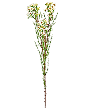 Artificial Branch Waxflower 78 cm Creme - Easyplants Artificial Plants & Flowers